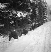 Fältmanöver. 1947. Reportage för Gefle Dagblad.