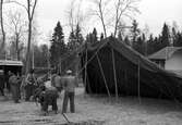 Furuviksparken. Oktober 1947. Reportage för Svenska Dagbladet.