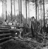 Skogsbruk. 1947.