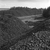 Kolhögar. 1948. Reportage för Gefle Dagblad.