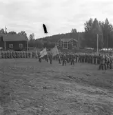 Stagården, ca 1945. Stagårdens kursgård ägdes en gång av militären.
