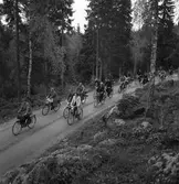 Konsum Alfa vedspillningsinsamling, cirka 1945.
