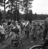 Konsum Alfa bärplockningsutflykt, cirka 1945.
