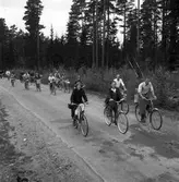 Konsum Alfa bärplockningsutflykt, cirka 1945.
