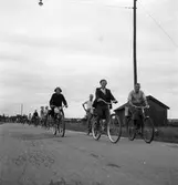 Konsum Alfa bärplockningsutflykt, cirka 1945.
