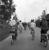 Konsum Alfa bärplockningsutflykt, cirka 1945.
