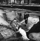 Pojkar på isflak. Mars 1945.
