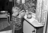 Gävles första daghem. 5 mars 1945 öppnade Stenebergsgården, Brynäs. Första institution för halvöppen barnavård. Verksamheten var uppdelad på en barnträdgård, ett daghem och ett eftermiddagshem.

