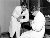 Gävle Tandteknikerinstitut. 1944.