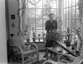 Reportage för Damernas Värld. Interiör från flera hem.  1944.