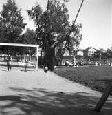 Stenebergsparken på Brynäs, lekande barn. 17 juli 1945.