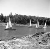 SM-tävling i segling. 1946.
