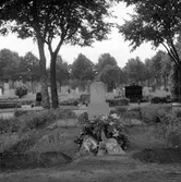 Reportage för tidningen Köpmannen. Edvard Lindbloms grav. 1946.