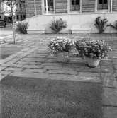 Stenpartiet framför rådhuset. 7 september 1946. Grythytte Skifferbruk, Grythyttehed.