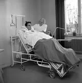 Reportage om polio. Bildsidan.
23 april 1955.