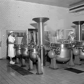 Lasarettet. Landstinget.
(Okänt datum. Troligen 1954, 1955, 1956)