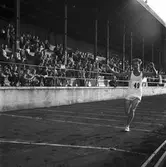 Distriktsmästerskap, allmän idrott på Strömvallen.          2 juli 1953.

