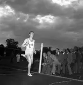 Julispelen på Strömvallen. 10 juli 1953.
