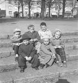 Rörbergsbarn i Stenebergsparken. 8 maj 1953.