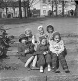 Rörbergsbarn i Stenebergsparken. 8 maj 1953.