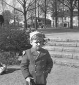 Rörbergsbarn i Stenebergsparken. Den 8 maj 1953.