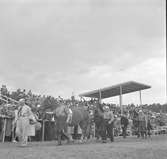 Hushållningssällskapet. Gävleutställningen sommaren 1946 vid Travbanan och Folkparken. Lantbruksmöte