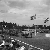 Hushållningssällskapet. Gävleutställningen sommaren 1946 på Travbanan. Lantbruksmöte