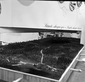 Utställning om länets skog på Gävleutställningen sommaren 1946 vid Travbanan med anledning av Gävle stads 500-årsjubileum

