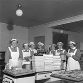 Barnens Dag

Lottor bakar kakor
