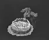 Edvard Lindbloms tårta






