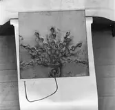 Elektroverken
Reservdelar

6 november 1972
Ingenjör Eliasson