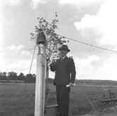 Travbanan

Juni 1948



