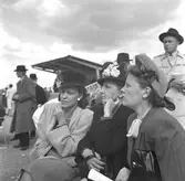 Travbanan

Juni 1948



