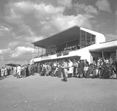 Travbanan

Juni 1948



