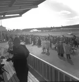 Travbanan

Juni 1948



