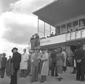 Travbanan

Juni 1948



