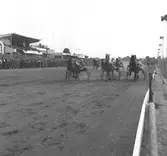 Travet

Reportage; Arbetarbladet och Norrlandsposten
19 juni 1954



