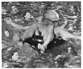 Hembygdsrådet
21 december 1954
