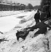 Olyckshändelse vid snökörning
(häst som fallit ner i Gavleån)
mars 1940