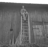 Utflykt till Årsunda