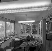 Tobaksmonopolet AB. Interiör av kontoret.                17 december 1956.