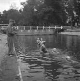 Simkurs, Kungsbäcks badet. År 1948. Kungliga Hälsinge Regement I 14 anlade 1944 ett friluftsbad med 50-metersbassäng, trampolin och bryggor i Valbobäcken. Badet användes in på 1960-talet.