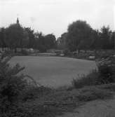 Stenebergsparken på Brynäs. Augusti 1948.