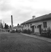 Bodås utanför Torsåker. 22 oktober 1948.