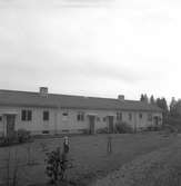 Bodås utanför Torsåker. 22 oktober 1948.