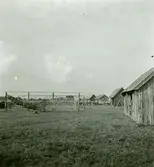 En ryssja på tork vid sjöbodar.