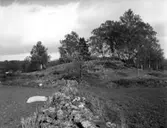 Bronsåldersröse i Kartagården
Hällkista i Skår.