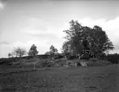 Bronsåldersröse i Kartagården.