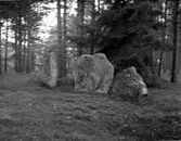 Resta stenar, resta hallar, kallade 