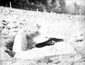 Glaskulla gånggrifter.